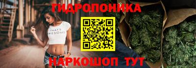 крисы Бердск