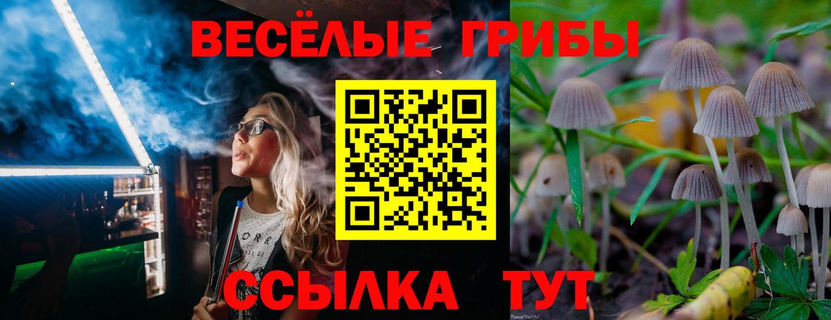 Батайск  Псилоцибиновые грибы ЛСД  Вход с VPN 